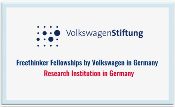 Volkswagen Foundation Freethinker Fellowship 2019